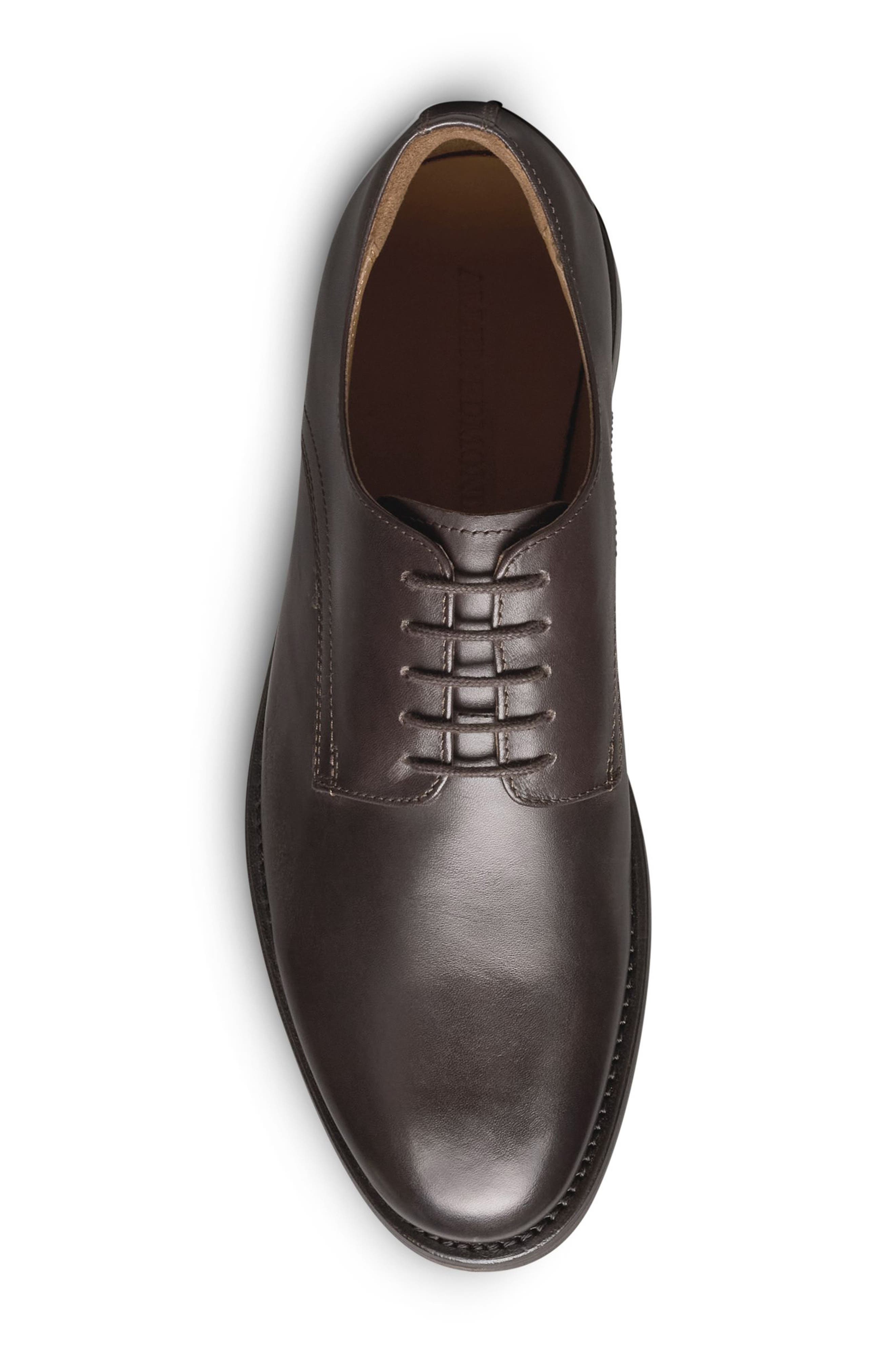 Allen Edmonds Henry Plain Toe Oxford, Alternate, color, Chestnut