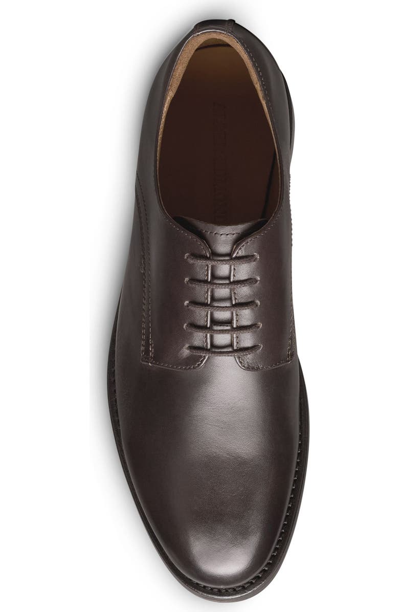 Allen Edmonds Henry Plain Toe Oxford, Alternate, color, Chestnut