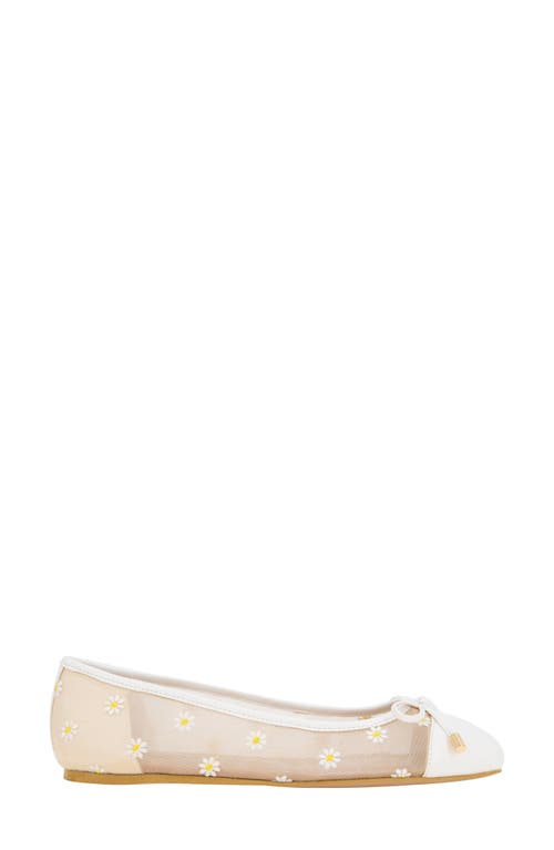 Bcbg Hartly Cap Toe Ballet Flat In White Daisy