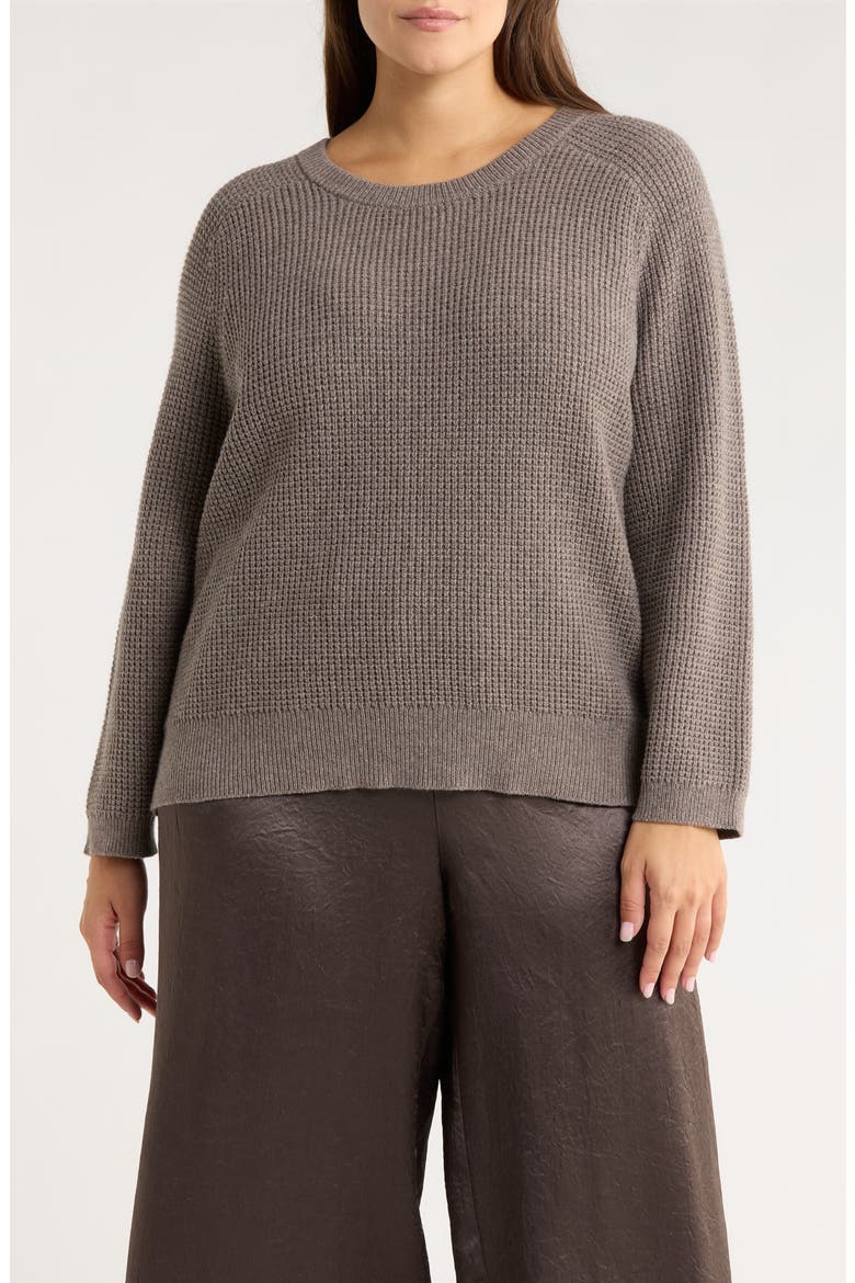 Crewneck Organic Cotton & Recycled Cashmere Sweater, Main, color, REED