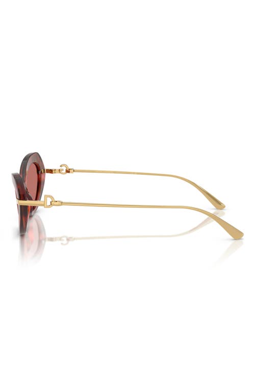 Dolce & Gabbana Dolce&gabbana 52mm Butterfly Sunglasses In Brown Havana
