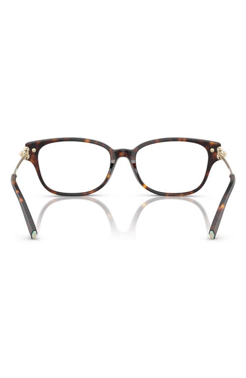 Tiffany & Co . 54mm Pillow Optical Glasses In Havana