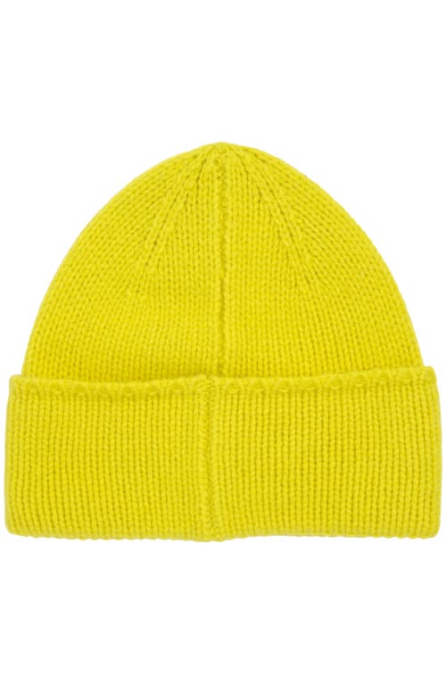 Polo Ralph Lauren Pony Beanie In Green