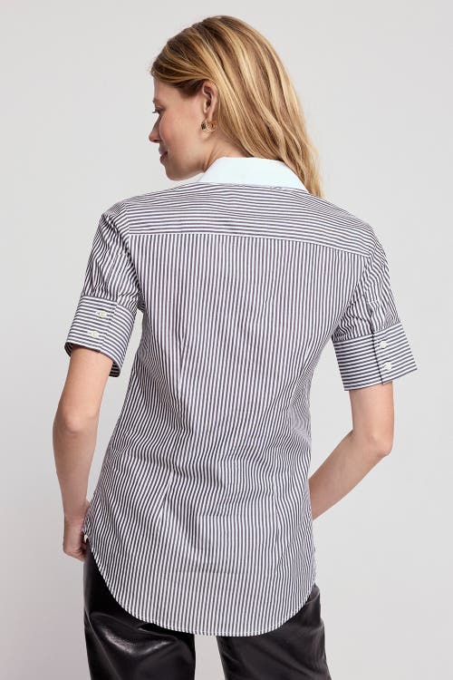 The Shirt By Rochelle Behrens The Short Sleeve Shirt