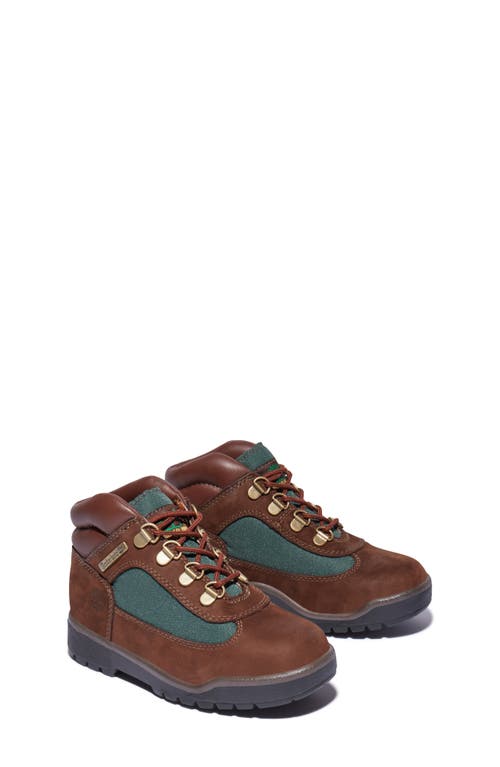 Timberland Big Kids' Field Boots In Dark Brown