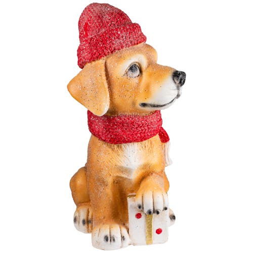 Northlight Glittery Dog With Gift Wearing Scarf And Hat Christmas Decoration In Multi
