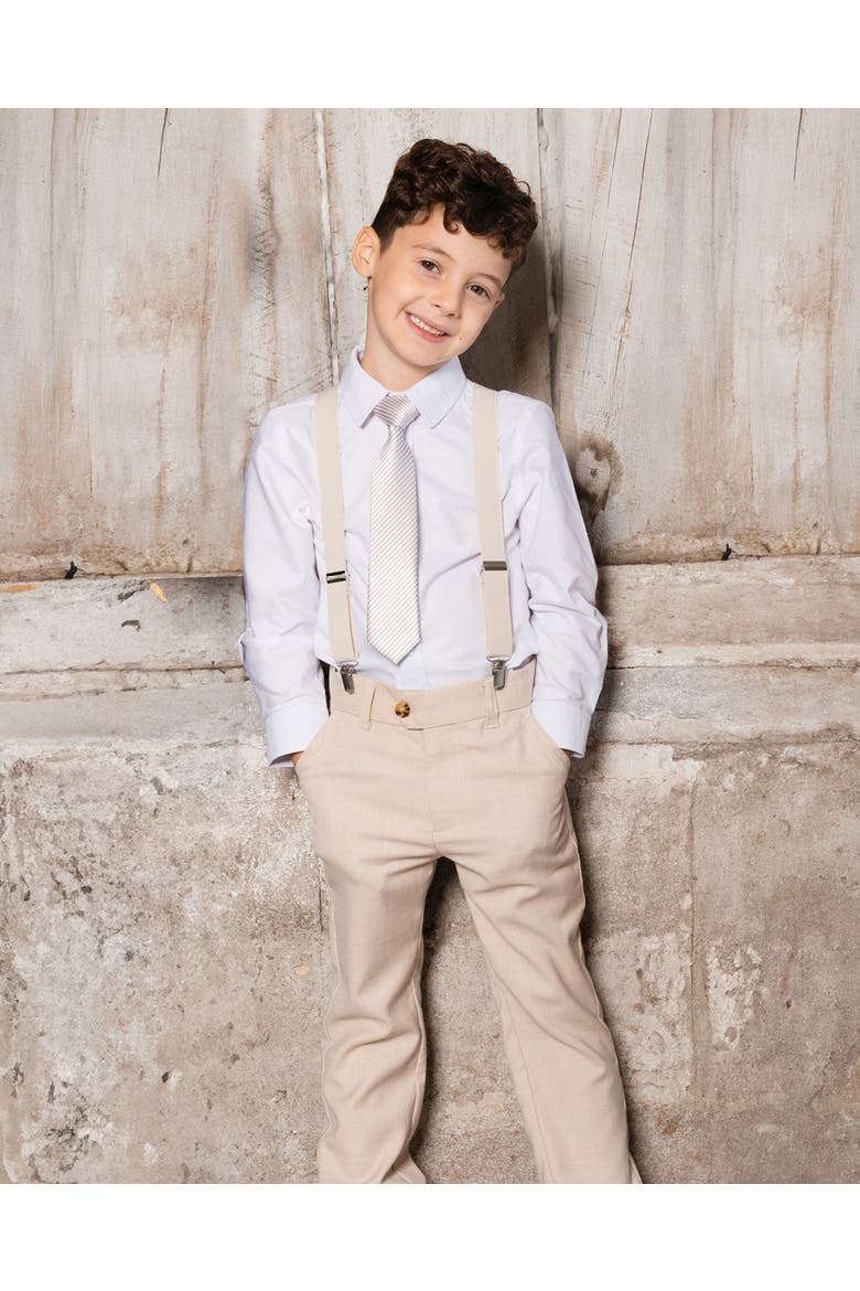 Boy's Neck Tie Light Taupe Striped, Alternate, color, Light Taupe Striped