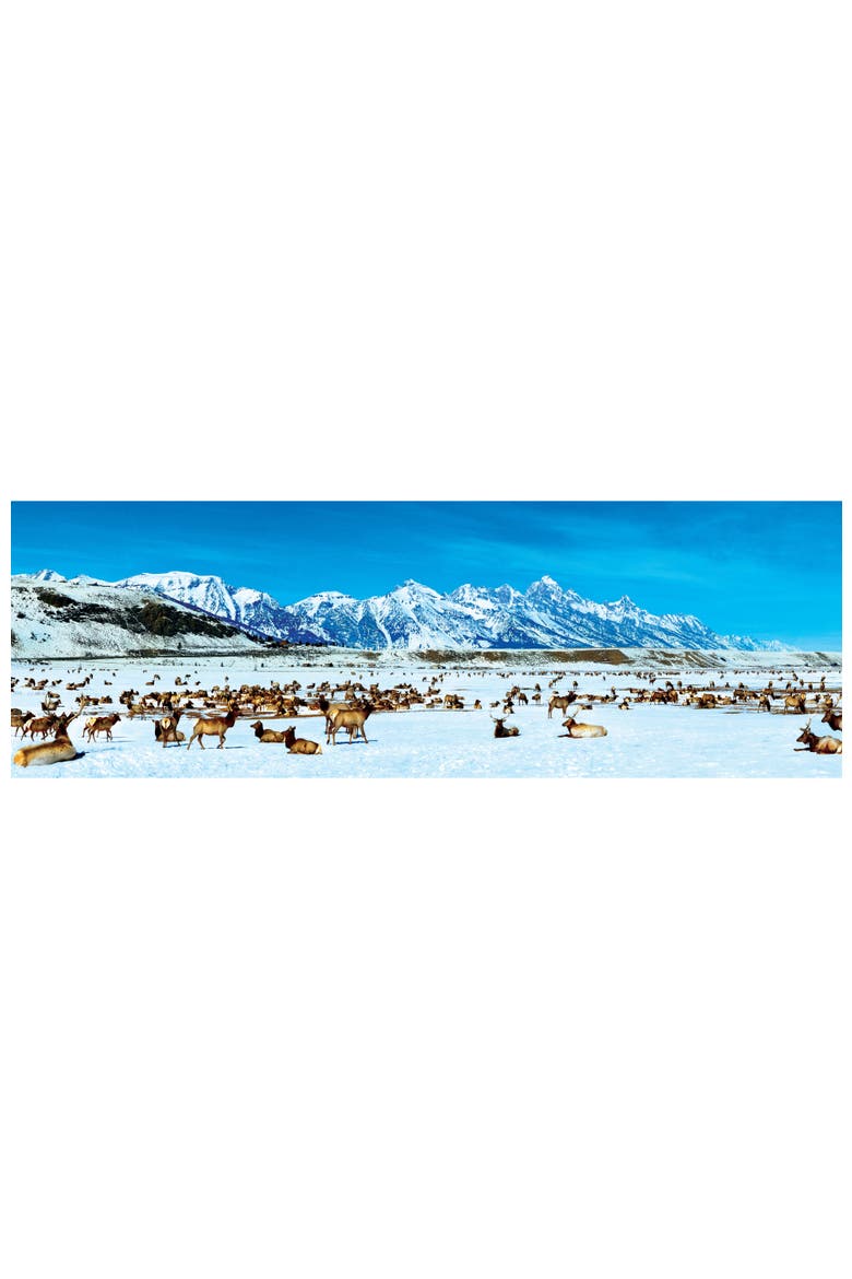 Elk Refuge 1000pc Panoramic Puzzle, Alternate, color, Multicolor