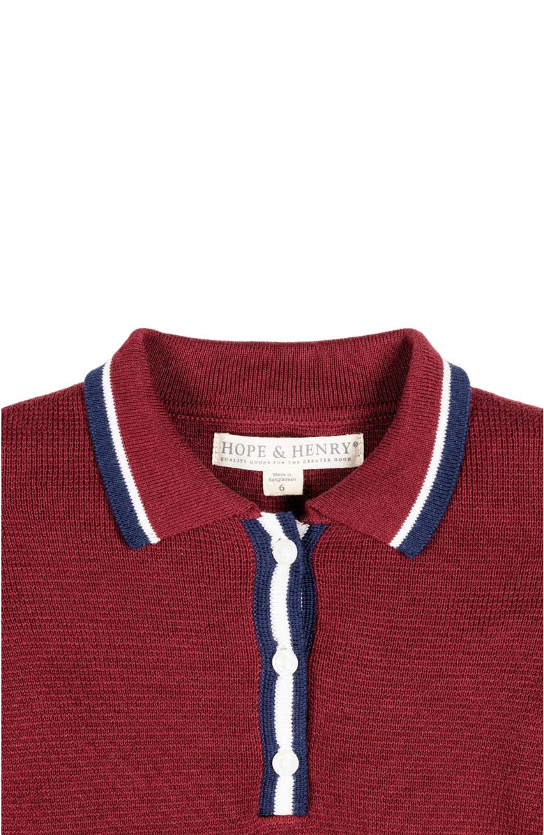 Hope & Henry Girls' Organic Henley Sweater Dress, Toddler, Alternate, color, Oxblood With Tipping
