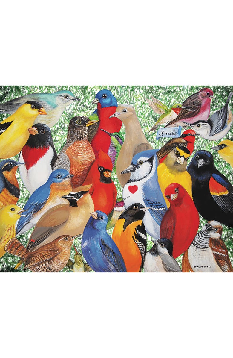 Hart Puzzles Birds, Birds, Birds by Wendy Russell 1000 Piece Puzzle, Alternate, color, Multicolored