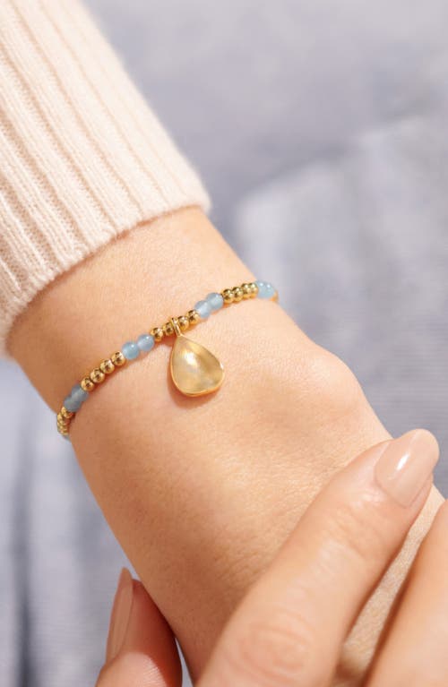 A Littles & Co. A Littles & Co Birthstone A Little March Bracelet