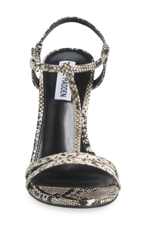 Steve Madden Deeva T-strap Sandal In Natural Snake