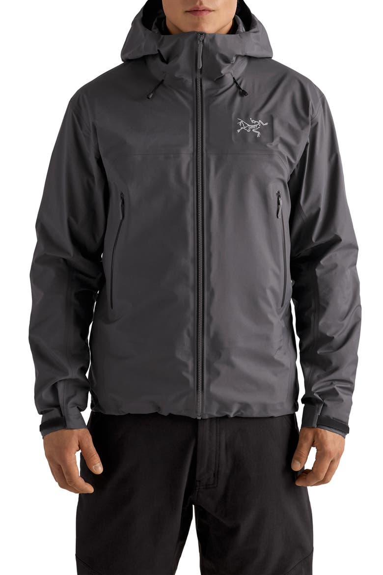 Beta SL GORE-TEX Hooded Jacket, Main, color, CLOUD