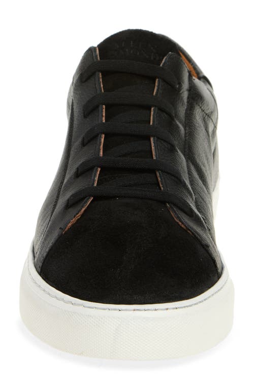 Allen Edmonds Fisher Sneaker