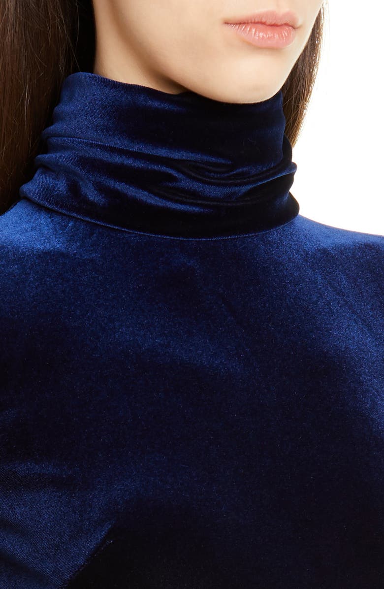 Badgley Mischka Collection Badgley Mischka Long Sleeve Velvet Gown, Alternate, color, 