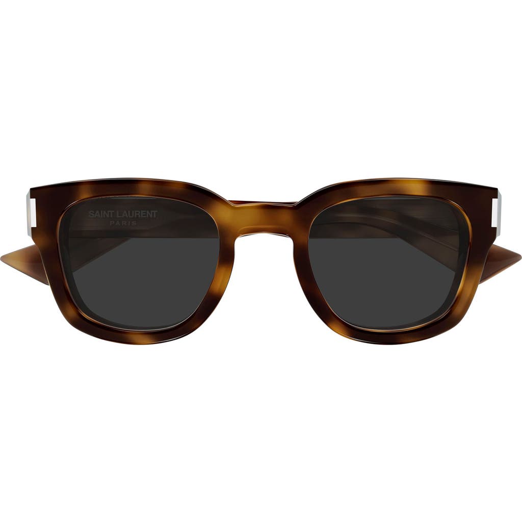 Saint Laurent 49mm Small Round Sunglasses in Havana  product
