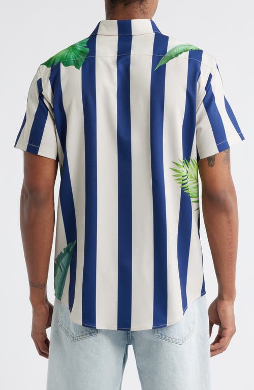 Mavrans Stripe Palm Frond Short Sleeve Performance Button-up Shirt