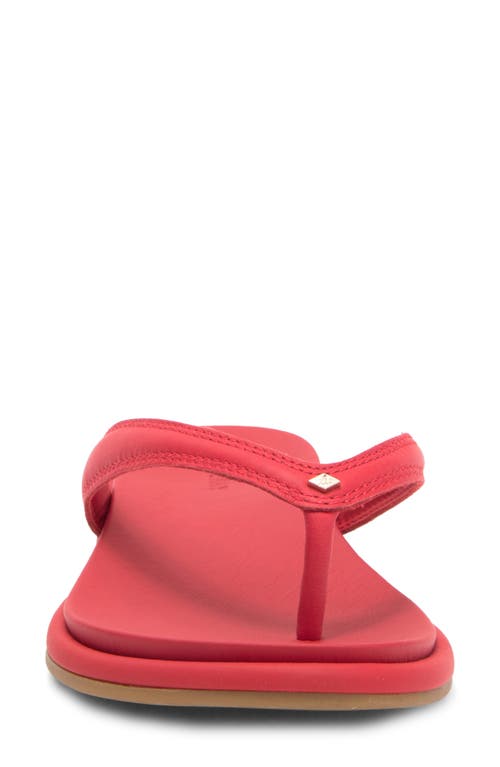 Sperry Isla Flip Flop In Adrenaline Rush Leather Smooth