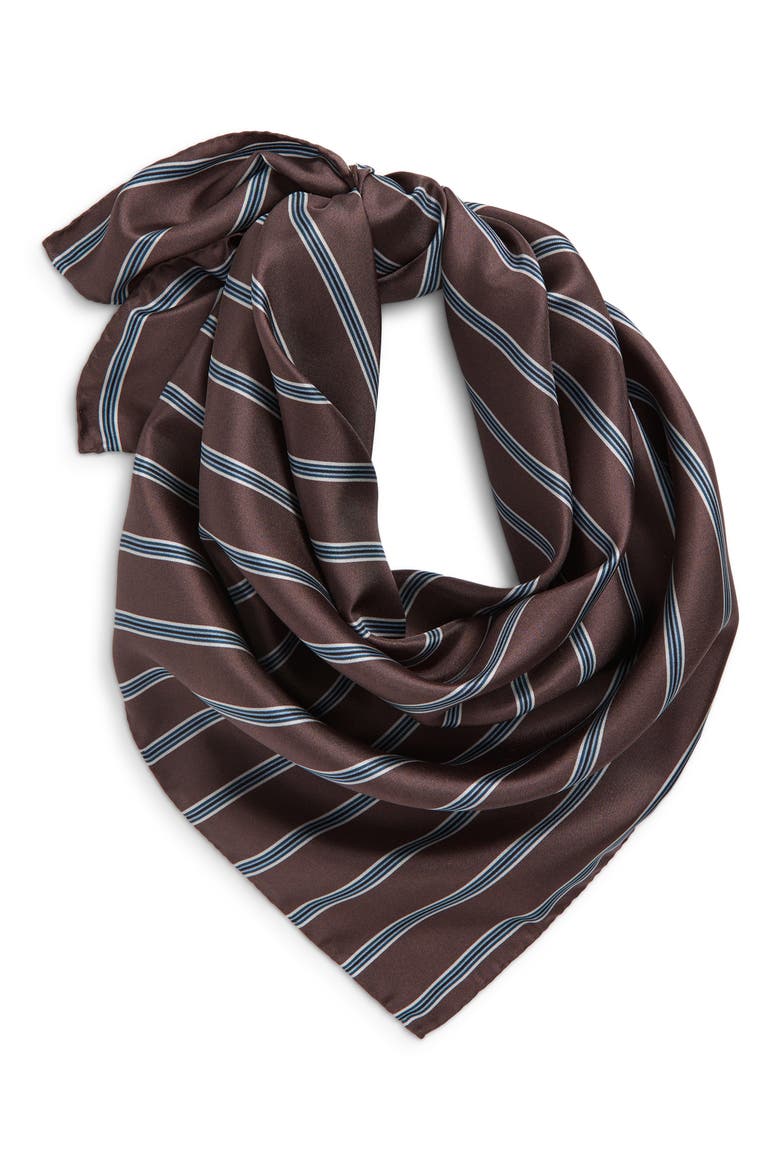 Stripe Silk Twill Scarf, Alternate, color, BROWN