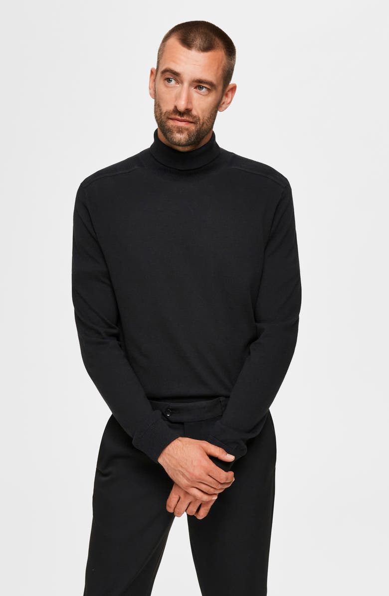 Selected Homme Berg Roll Neck Sweater, Alternate, color,