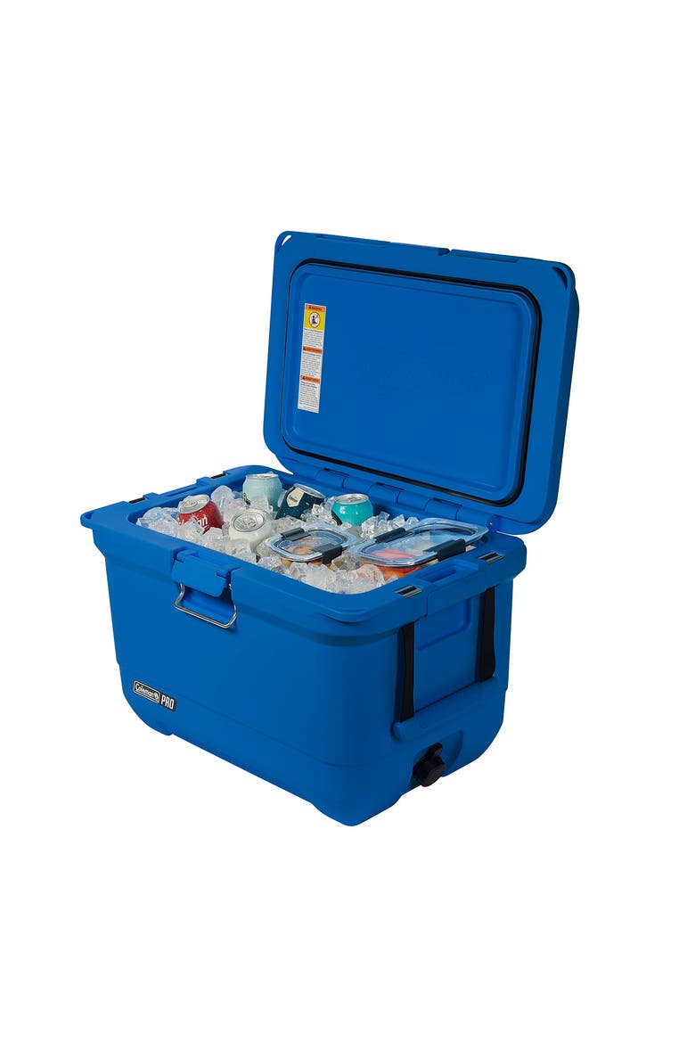 Pro Series 45-Quart Hard Cooler, Main, color, Neptune