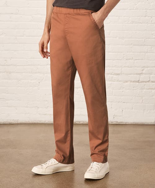 Pact Organic Cotton Daily Twill Midweight Pant In Ochre