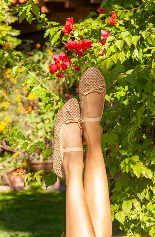 Chinese Laundry Audrey Ballet Flat