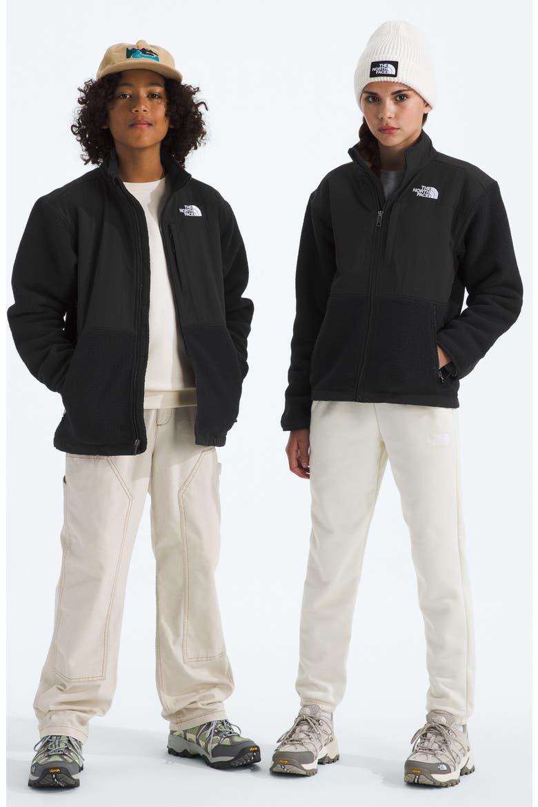 Kids' Denali Water Repellent Fleece Jacket, Alternate, color, TNF BLACK