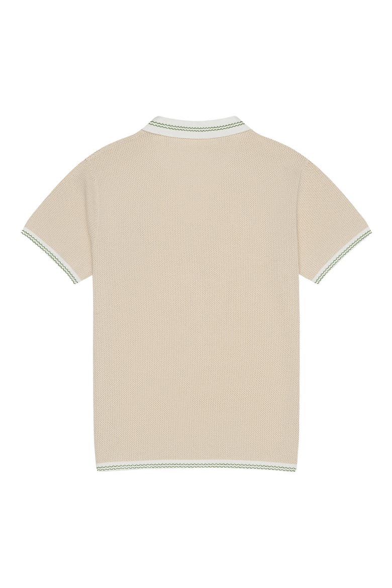 Flamingo Beach Mesh Johnny Collar Polo, Alternate, color, TAN MULTI