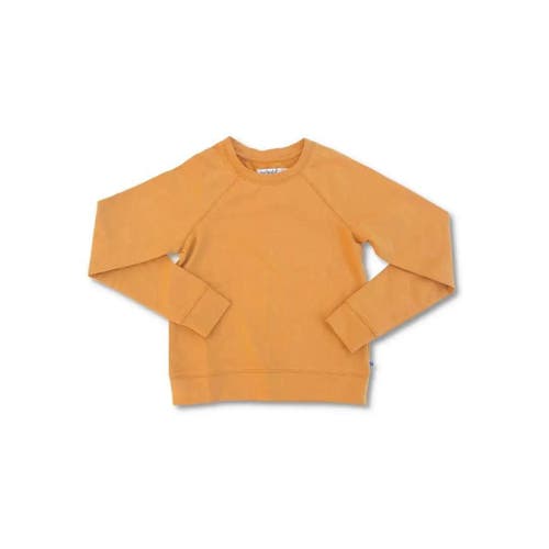 Jackalo Stevie Raglan Sweatshirt In Butterscotch