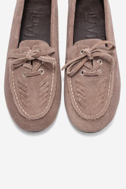 Forever & Always Shoes Lorven Leather Lace Up Loafer In Multi