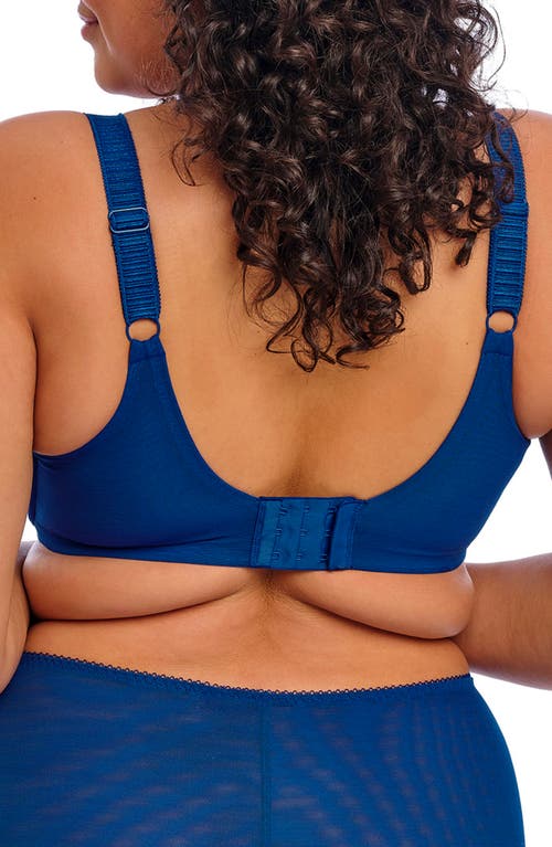 Elomi Cate Allure Underwire Bra In Lapis