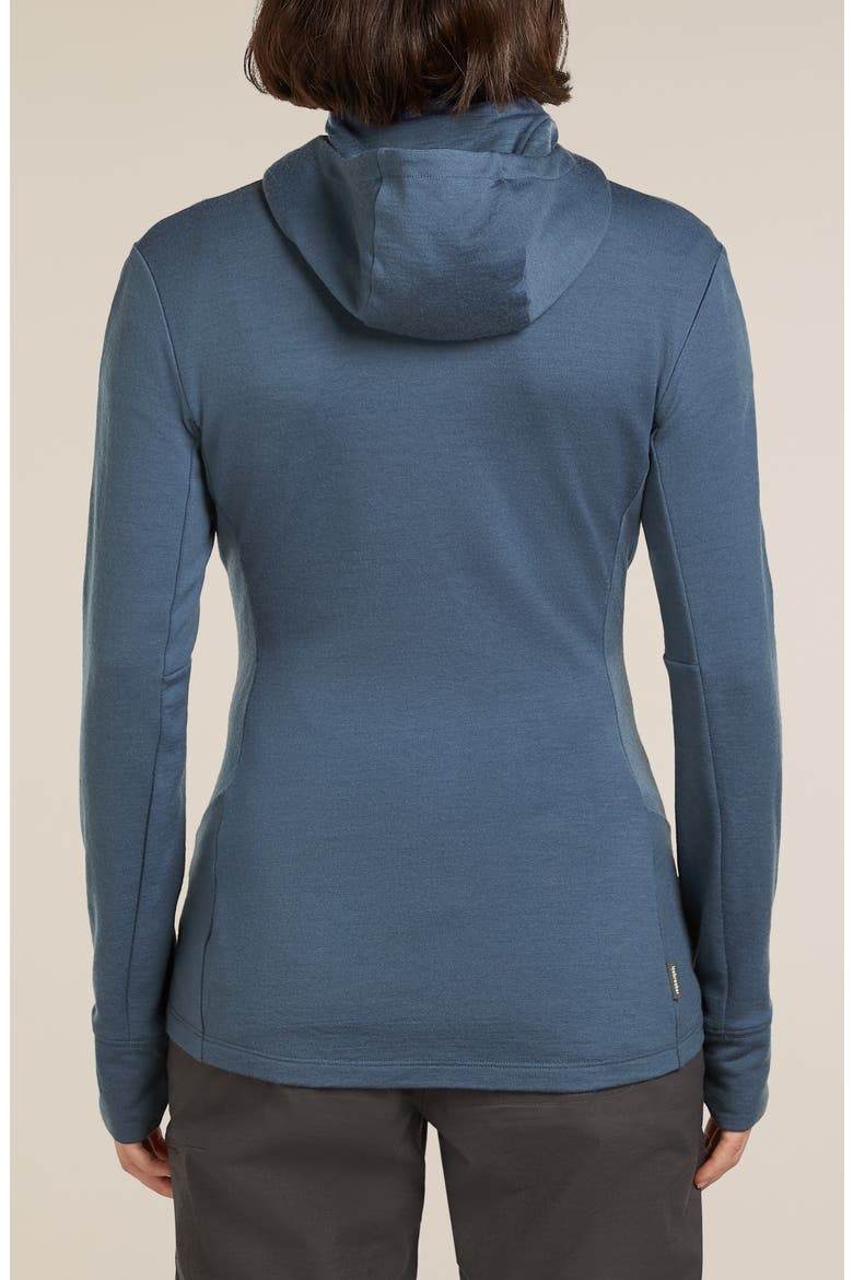 260 Quantum Merino Wool Hooded Jacket, Alternate, color, DAWN