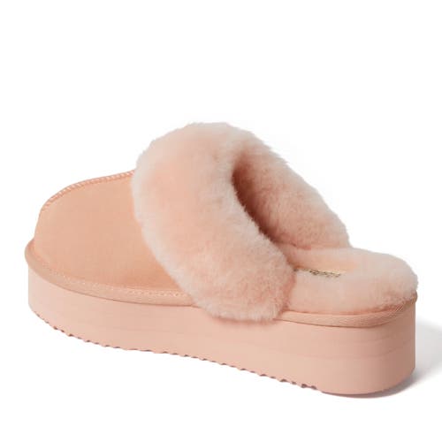 Shop Dearfoams Fireside Melton Genuine Shearling Platform Scuff Slipper In Peach Dust