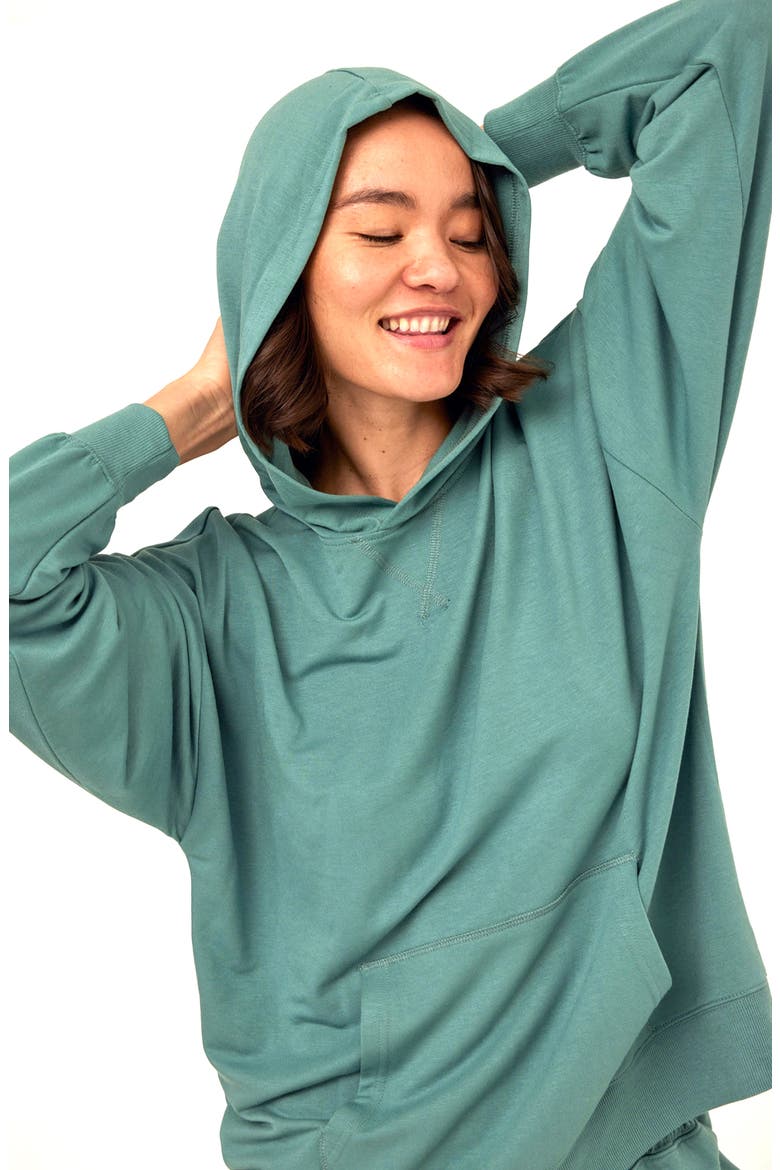 Sylvie Terry Pullover Hoodie, Alternate, color, SPEARMINT
