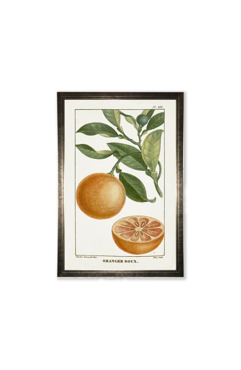 Antique Curiosities Orange Plant in Silver Frame, Main, color, Multi