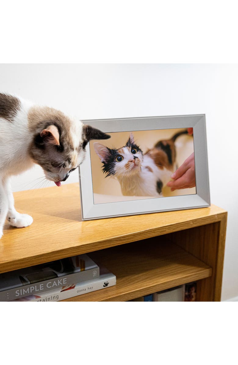 Aura Frames Aura Buddy Digital Photo Frame, Alternate, color,