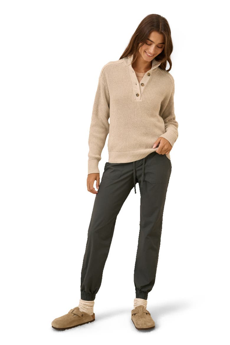 Luxe Knit Henley Sweater, Main, color, Flax Heather