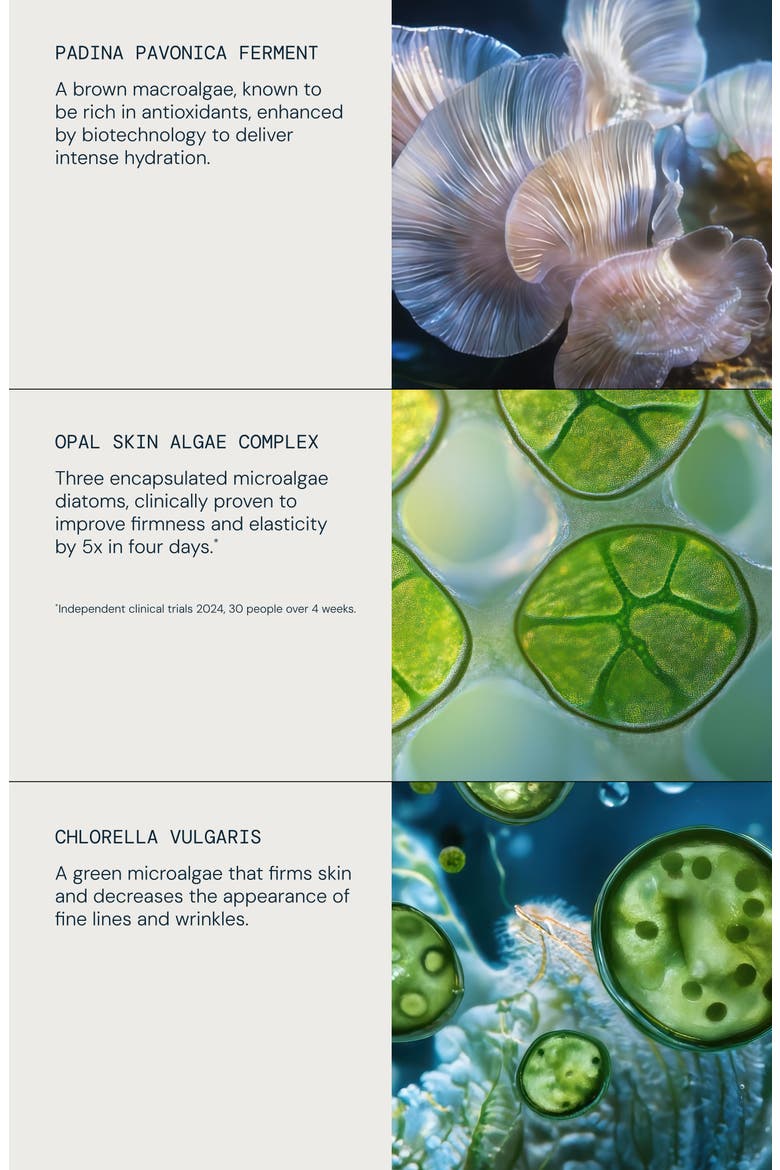 Power of Pro-Collagen Discovery Collection Set $174 Value, Alternate, color, NO COLOR