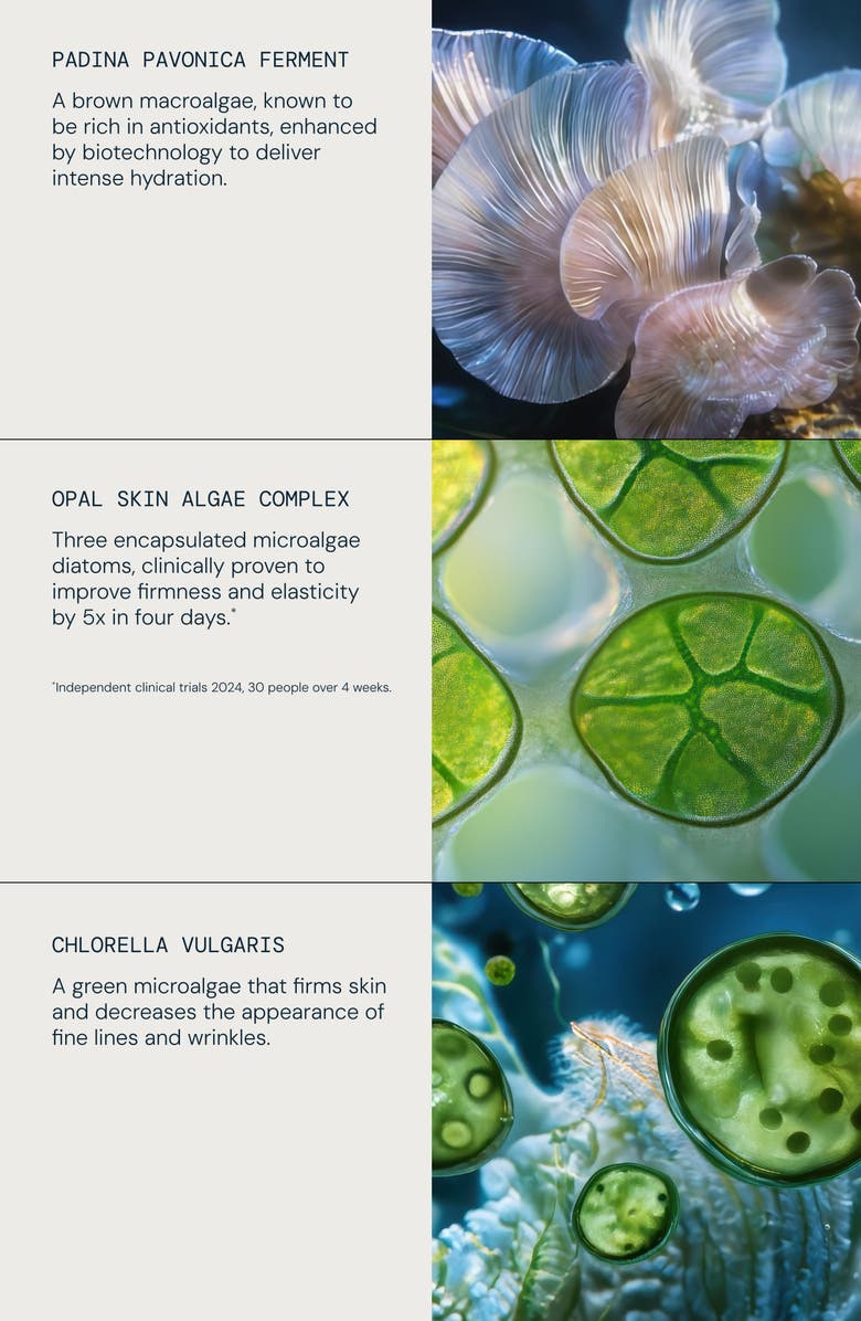 Elemis Power of Pro-Collagen Discovery Collection Set $174 Value, Alternate, color, 