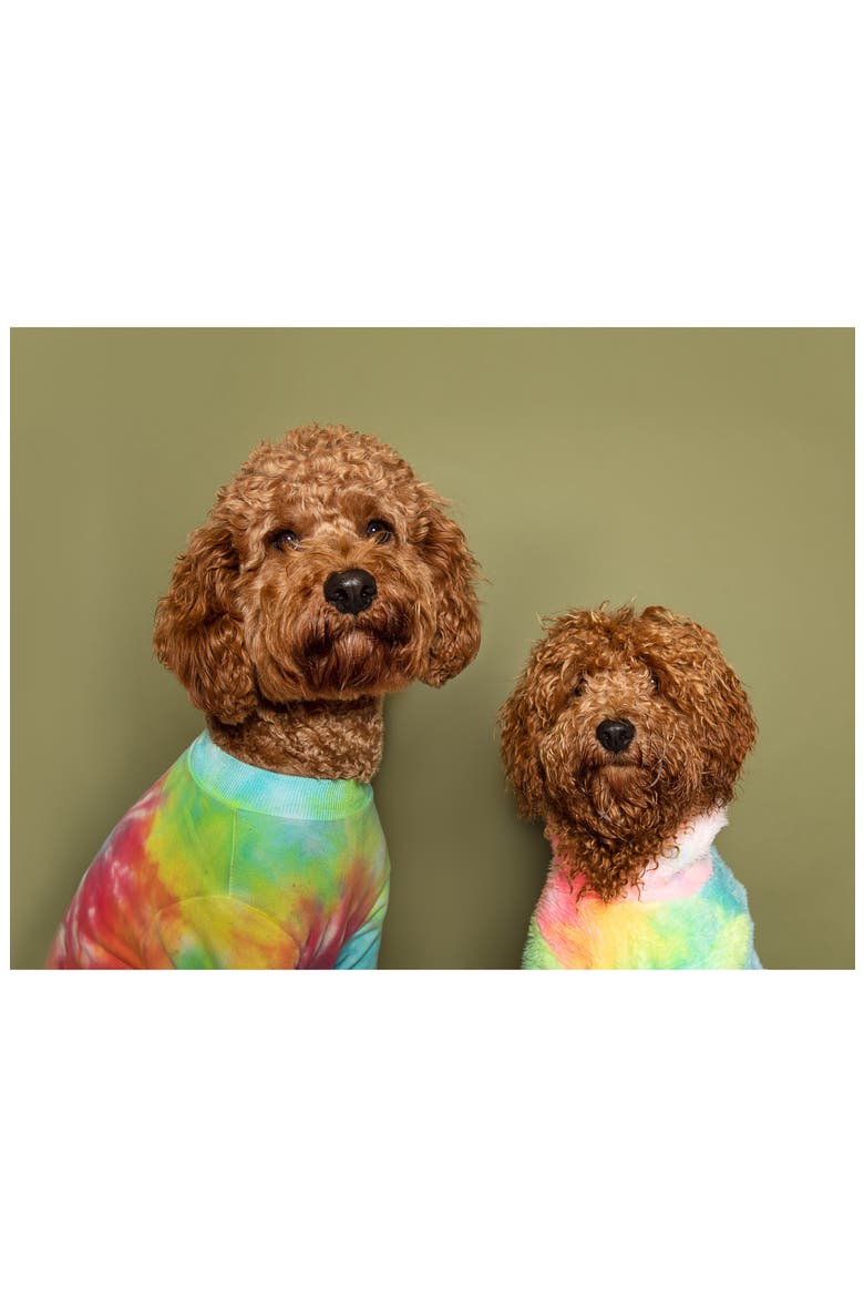 Rainbow Tie-Dye Dog Tee, Alternate, color, RAINBOW