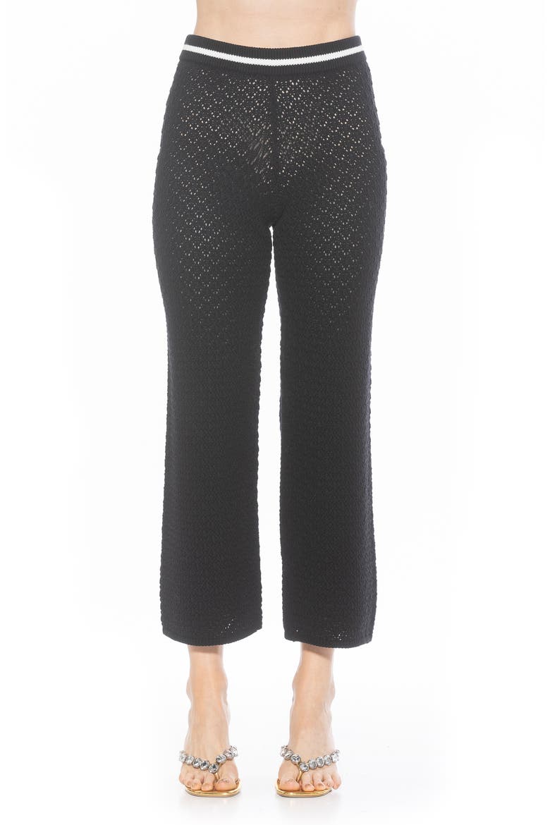 Kora Cropped Open Stitch Knit Pants, Main, color, BLACK