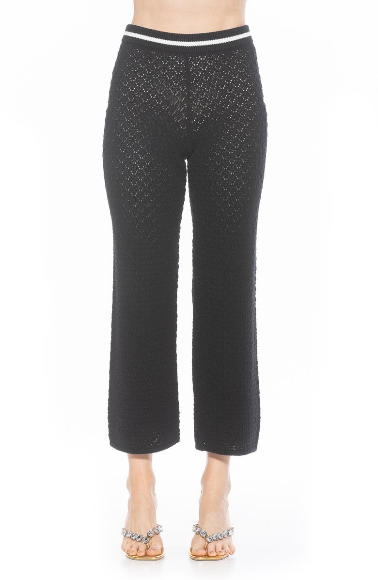 Alexia Admor Kora Cropped Open Stitch Knit Pants, Main, color, Black