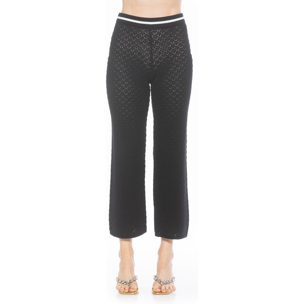 Alexia Admor Kora Cropped Open Stitch Knit Pants In Black