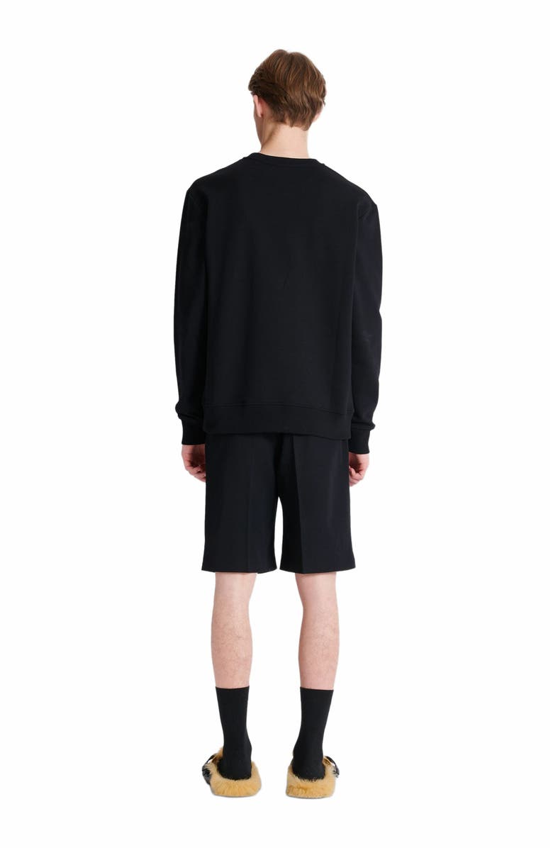 Balmain Sweater With Chain Lion Buttons, Alternate, color, Black