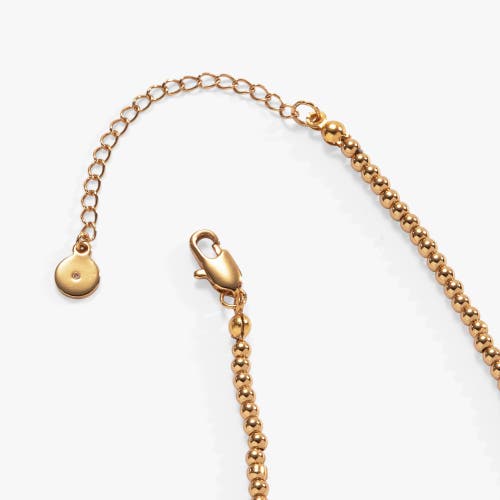 Alex And Ani Summer Fruits Charm Necklace In Gold