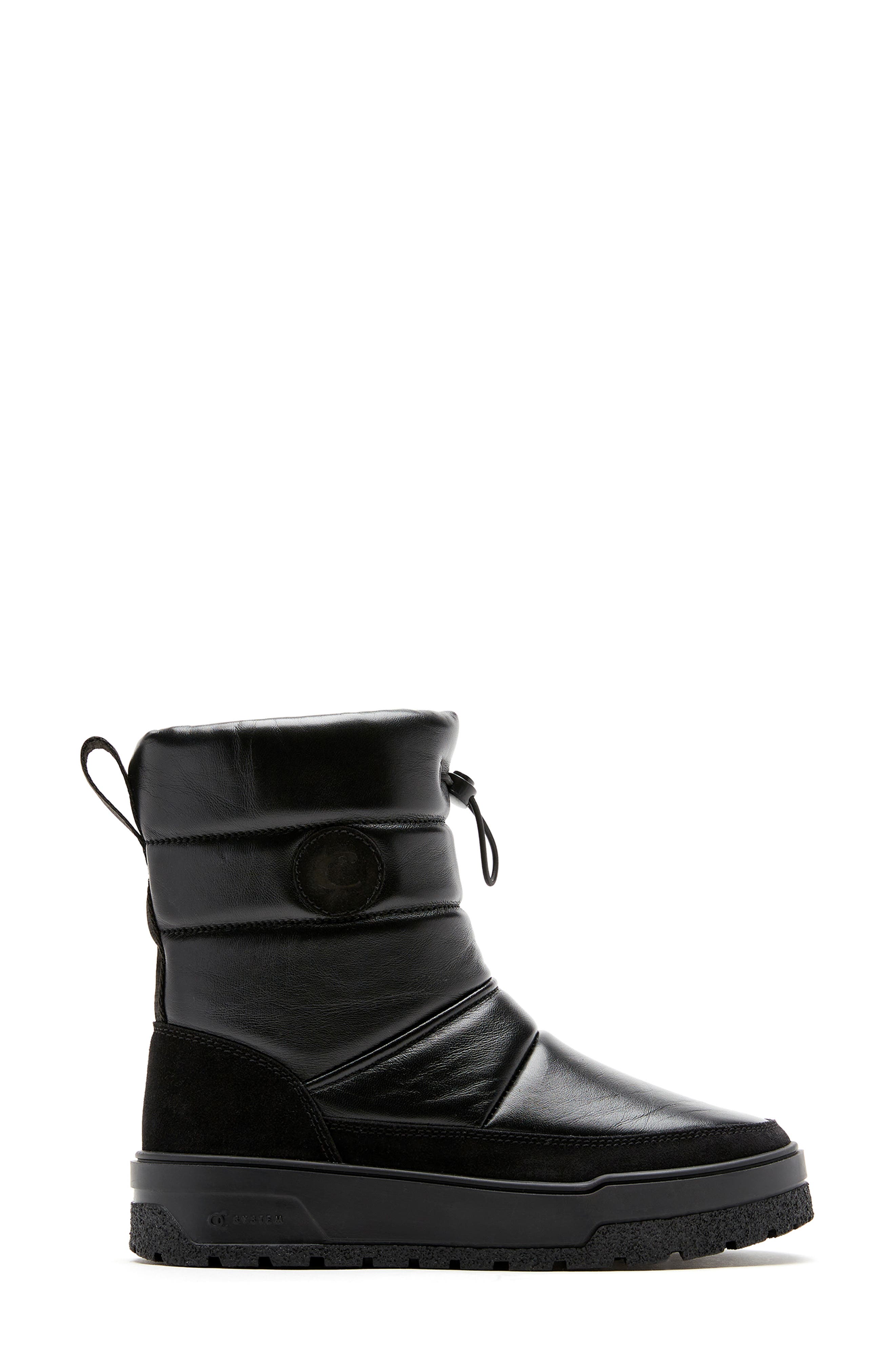 La Canadienne Eric Water Resistant Boot, Alternate, color, Black Leather