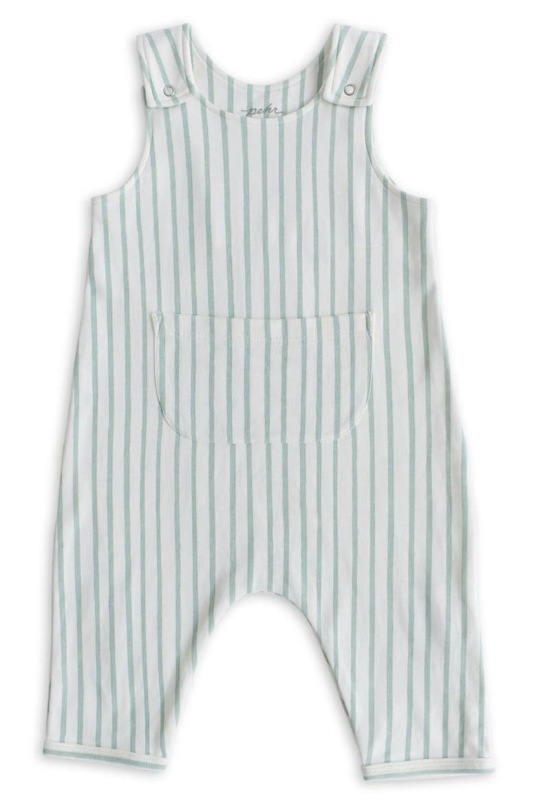 Stripe Organic Cotton Overall, Main, color, STRIPES AWAY SEA