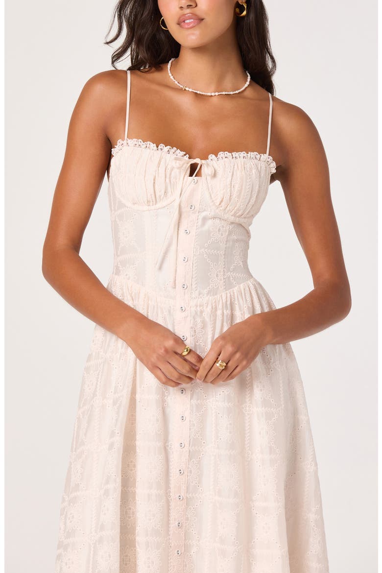 Aubrey Embroidered Sleeveless Maxi Dress, Alternate, color, BLUSH