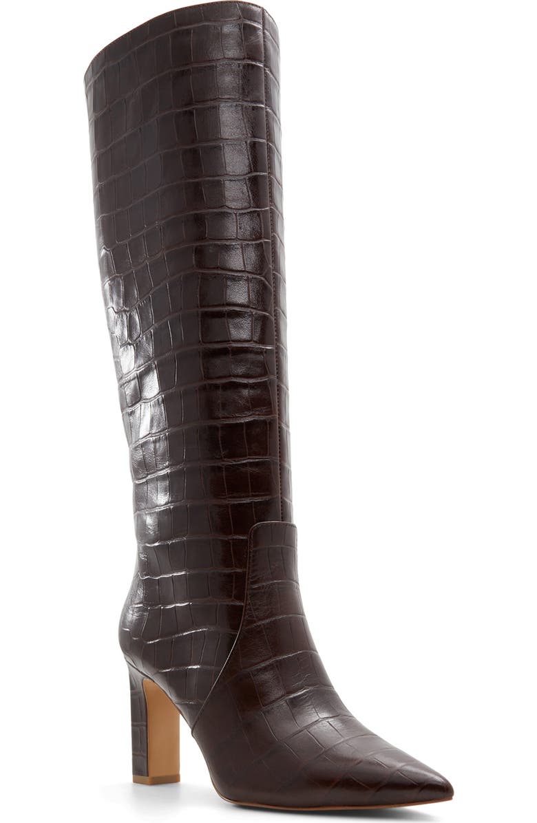 ALDO Cadigoder Pointed Toe Knee High Boot, Main, color, Dark Brown